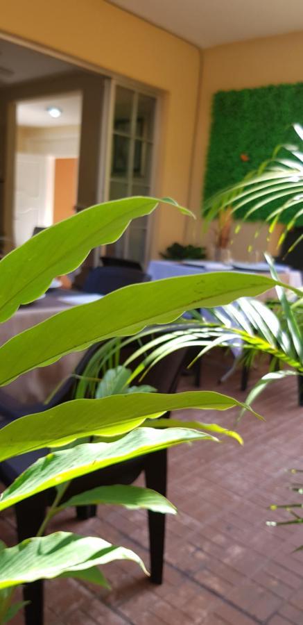 Mh Boutique Hotel San Pedro Sula Buitenkant foto